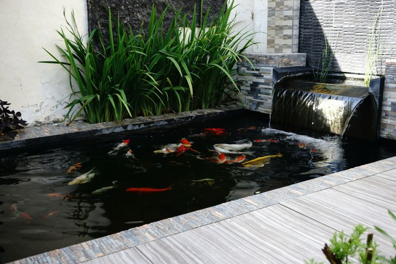 Fish Pond Installation in Ventura County, CA