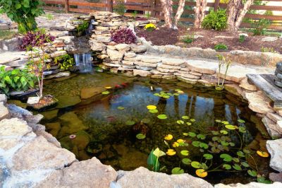 Garden Pond Installation in Honolulu, HI