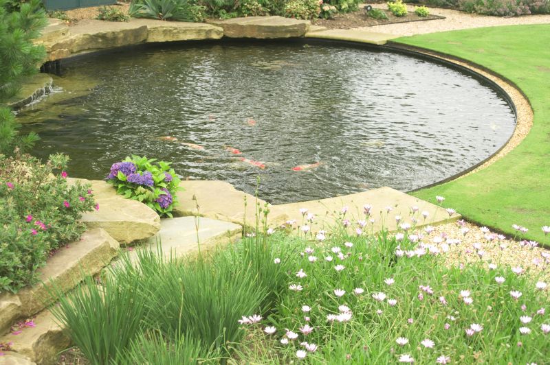 Koi Pond Construction in Honolulu, HI