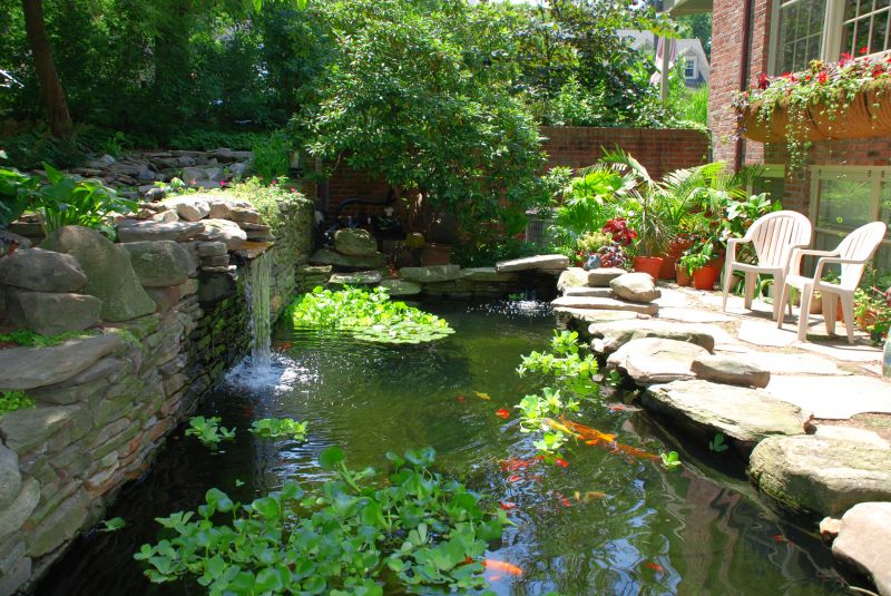 Koi Pond Installation in Honolulu, HI