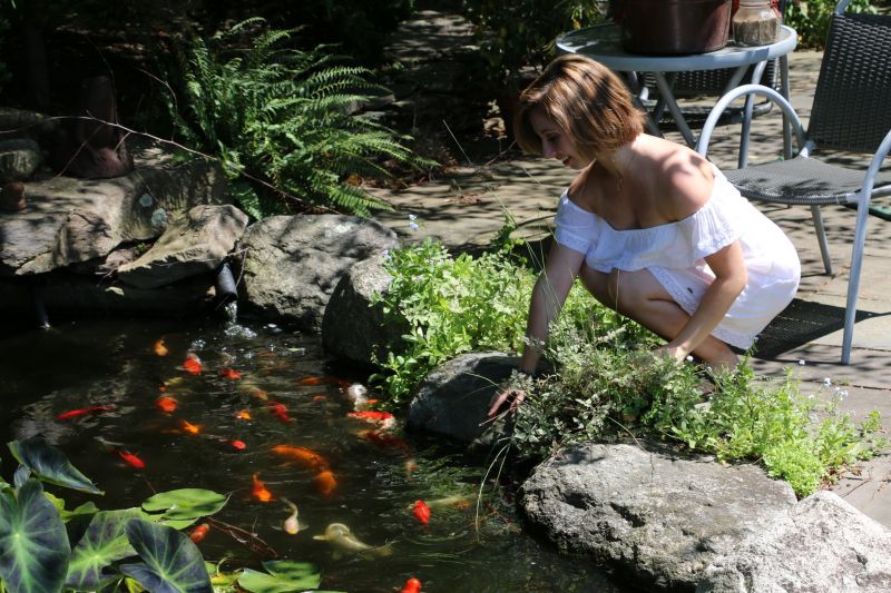 Koi Pond Maintenance in Honolulu, HI
