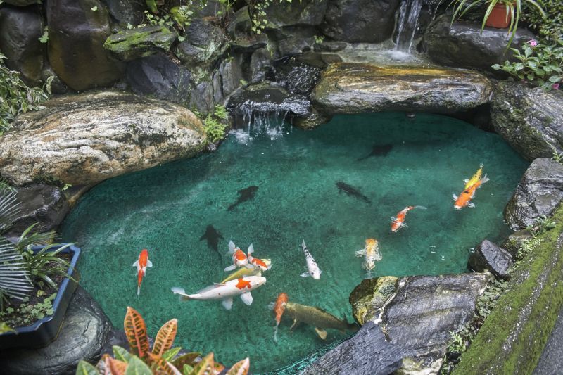 Pond Cleaning in Honolulu, HI