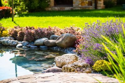 Pond Construction in Honolulu, HI