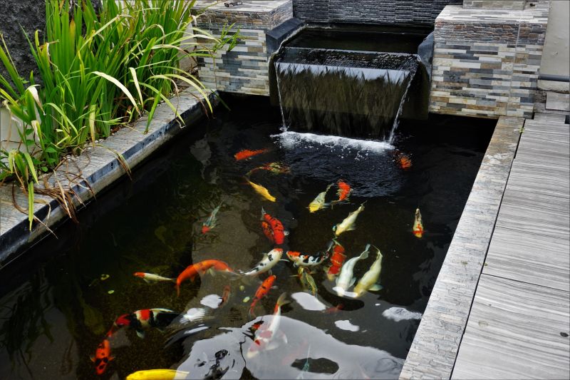 Fish Pond Installation in Ventura County, CA