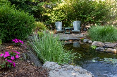 Pond Cleaning in Honolulu, HI